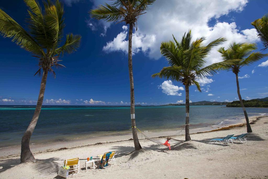 Sugar Beach Condominiums Resort Christiansted Exteriör bild